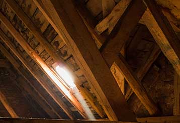 Crawl Space Cleaning | Attic Cleaning Palo Alto, CA