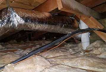 Attic Cleaning | Attic Cleaning Palo Alto, CA