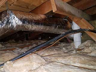 Attic Cleaning Services | Attic Cleaning Palo Alto, CA Attic Cleaning Services | Attic Cleaning Palo Alto, CA