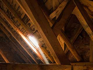 Crawl Space Cleaning Services | Attic Cleaning Palo Alto, CA Crawl Space Cleaning Services | Attic Cleaning Palo Alto, CA