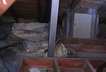 Rodent Proofing Project | Attic Cleaning Palo Alto, CA